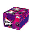 Trident Senses Berry Party 12 ud