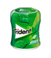 Chicles Hierbabuena Bote (6 ud) Trident